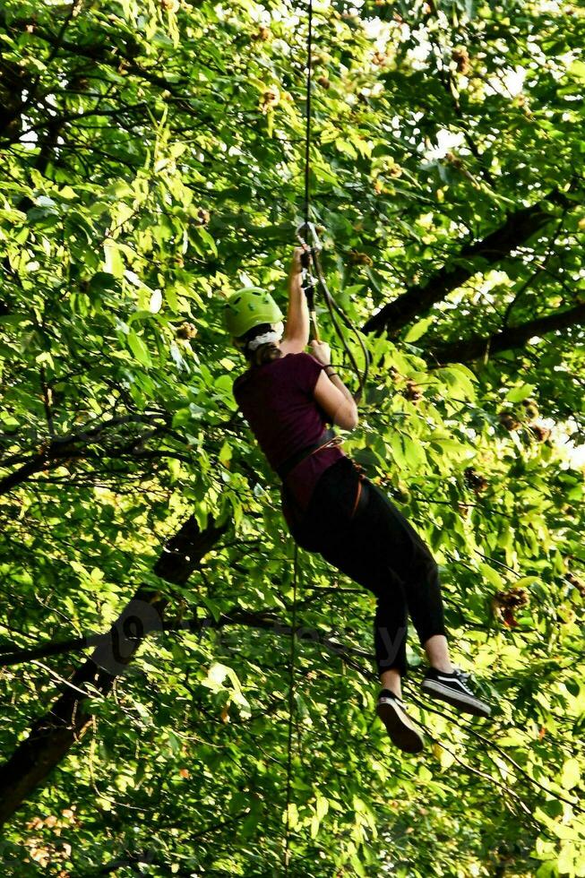 en person på en zipline i de trän foto