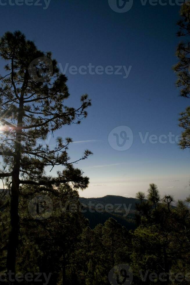 landskap från de kanariefågel ö av tenerife i de Centrum av de ö med en molnfri himmel foto