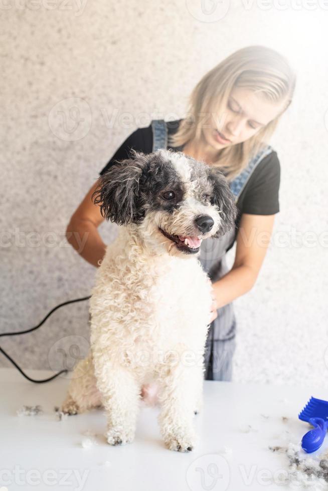 blond kvinna som tar hand om en hund hemma foto