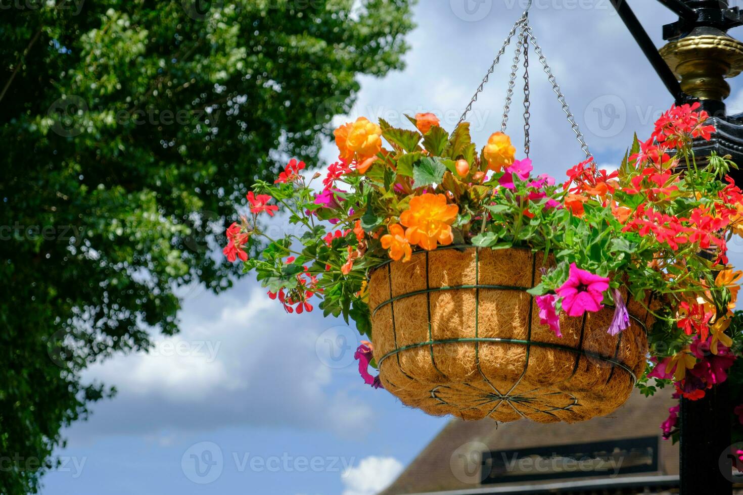 färgrik blomma pott suspenderad i de luft med små kedjor foto