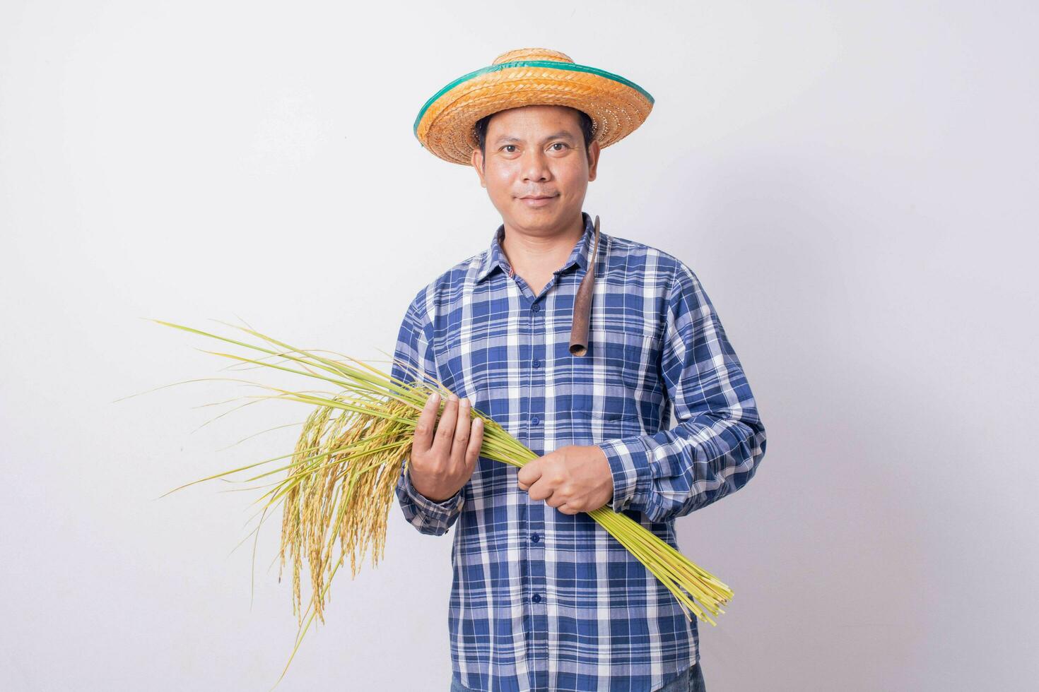 asiatisk jordbrukare i en randig skjorta innehav en skära och skörd ris korn på en vit bakgrund. foto