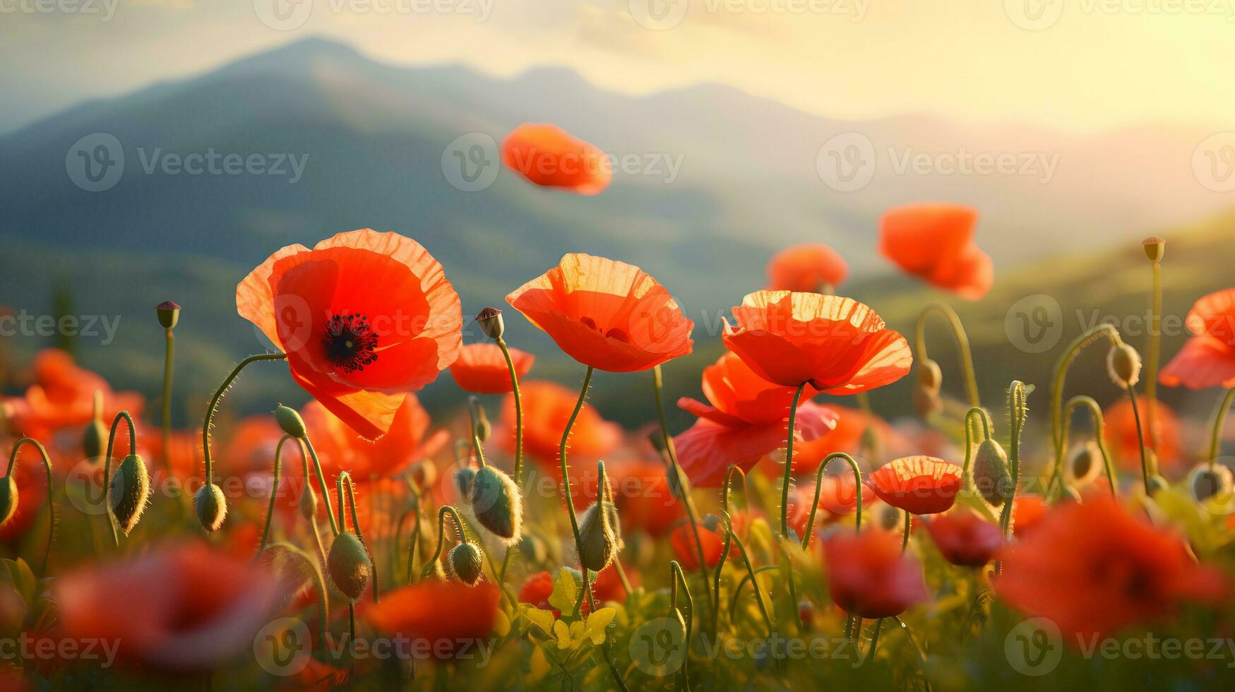 fält av blomstrande vallmo blommor i de berg. ai genererad bild. foto