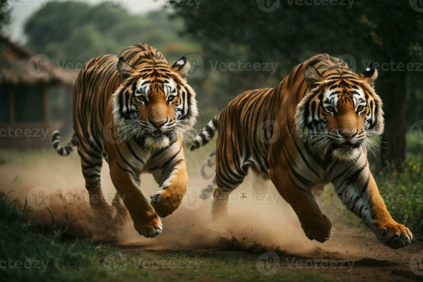 bengal tiger tapet ai genererad foto