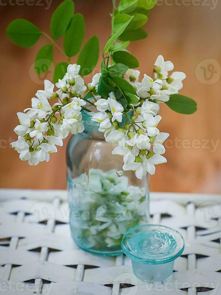 jacka av vit akacia i medicin flaska fylld med trasig blommor. knippa av akacia blommor på stickat korg. honung vår växt. grenar Robinia pseudoacacia, falsk akacia. selektiv fokus. foto