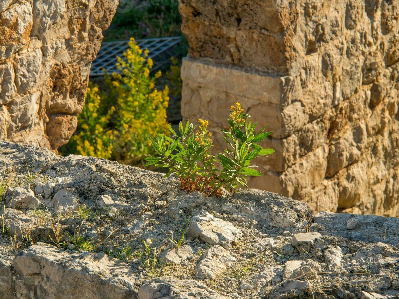 de stad av dubrovnik foto