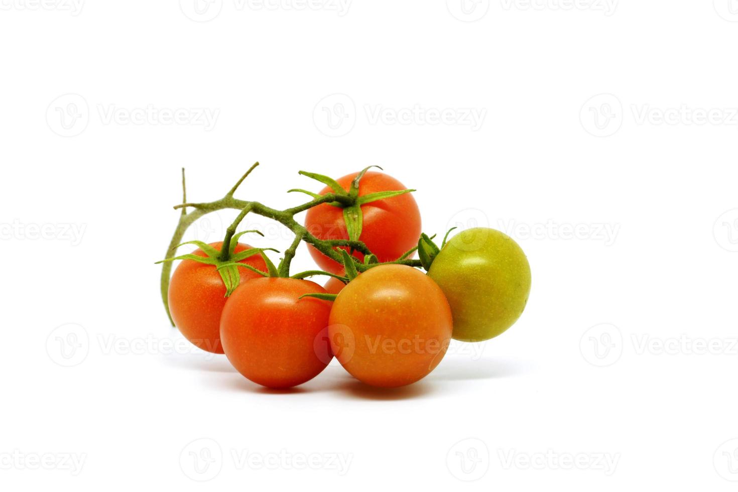 färska röda tomater isolerade på vit bakgrund. plommontomat. foto