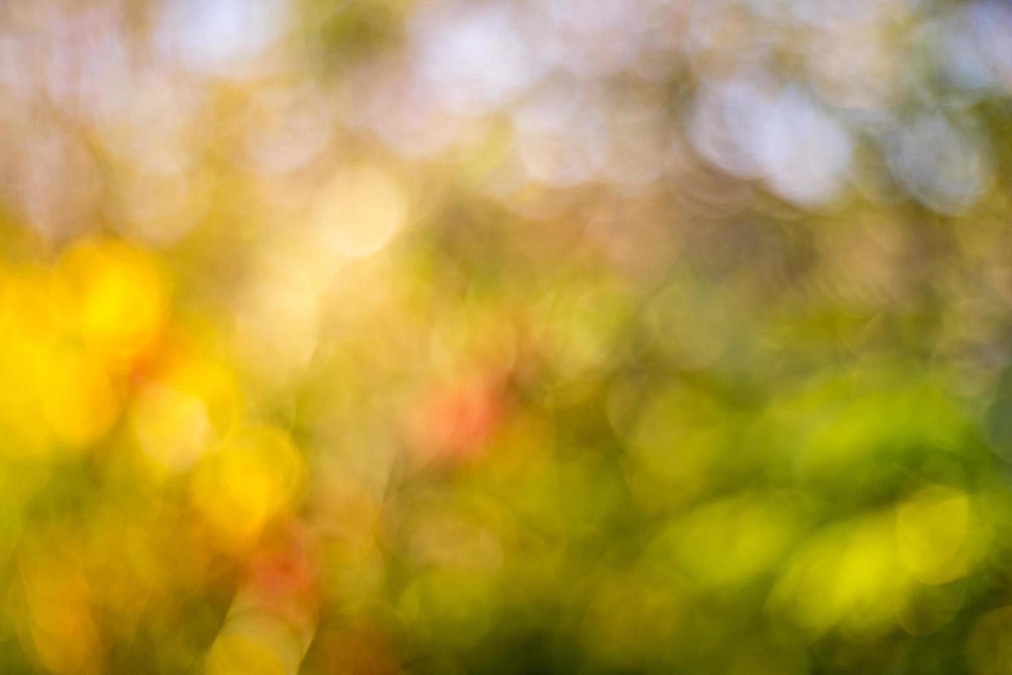 suddig bakgrund och bokeh, abstrakt suddig bakgrund. foto