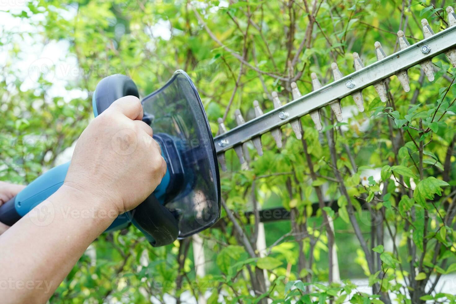 trädgårdsmästare trimning buske förbi elektrisk häck klippare i trädgård. hobby på Hem. foto