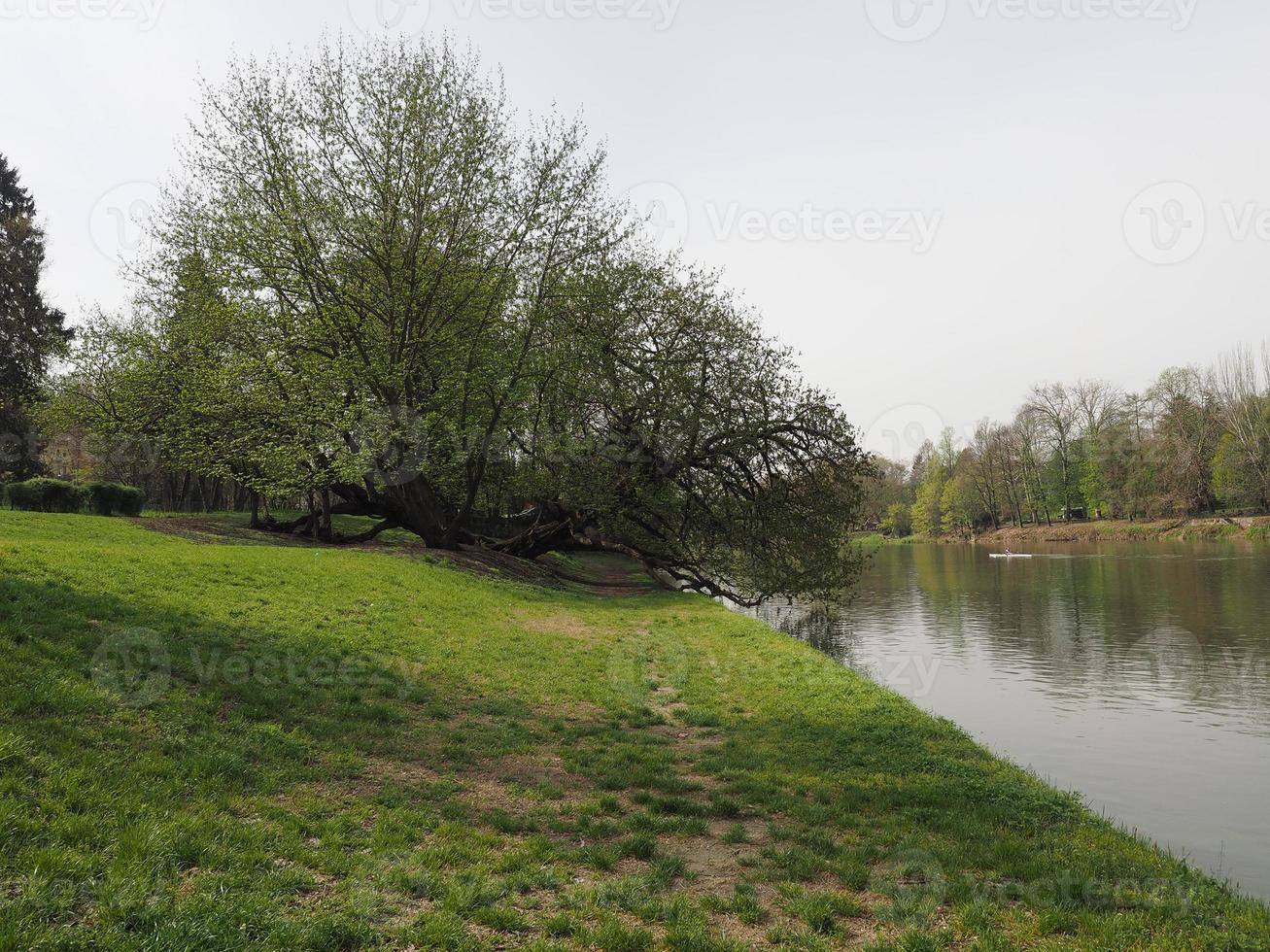 river po i turin foto