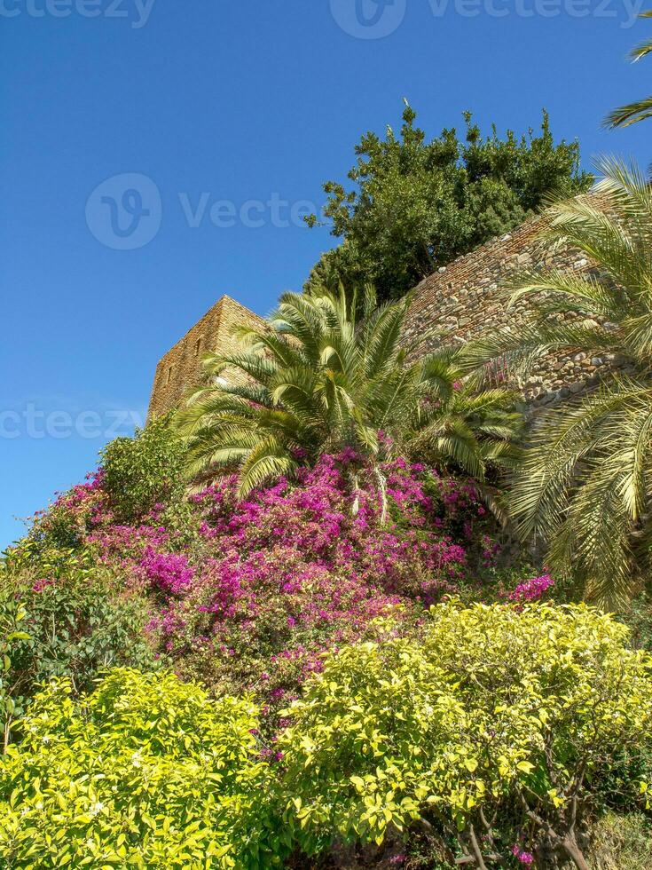 de stad av malaga foto