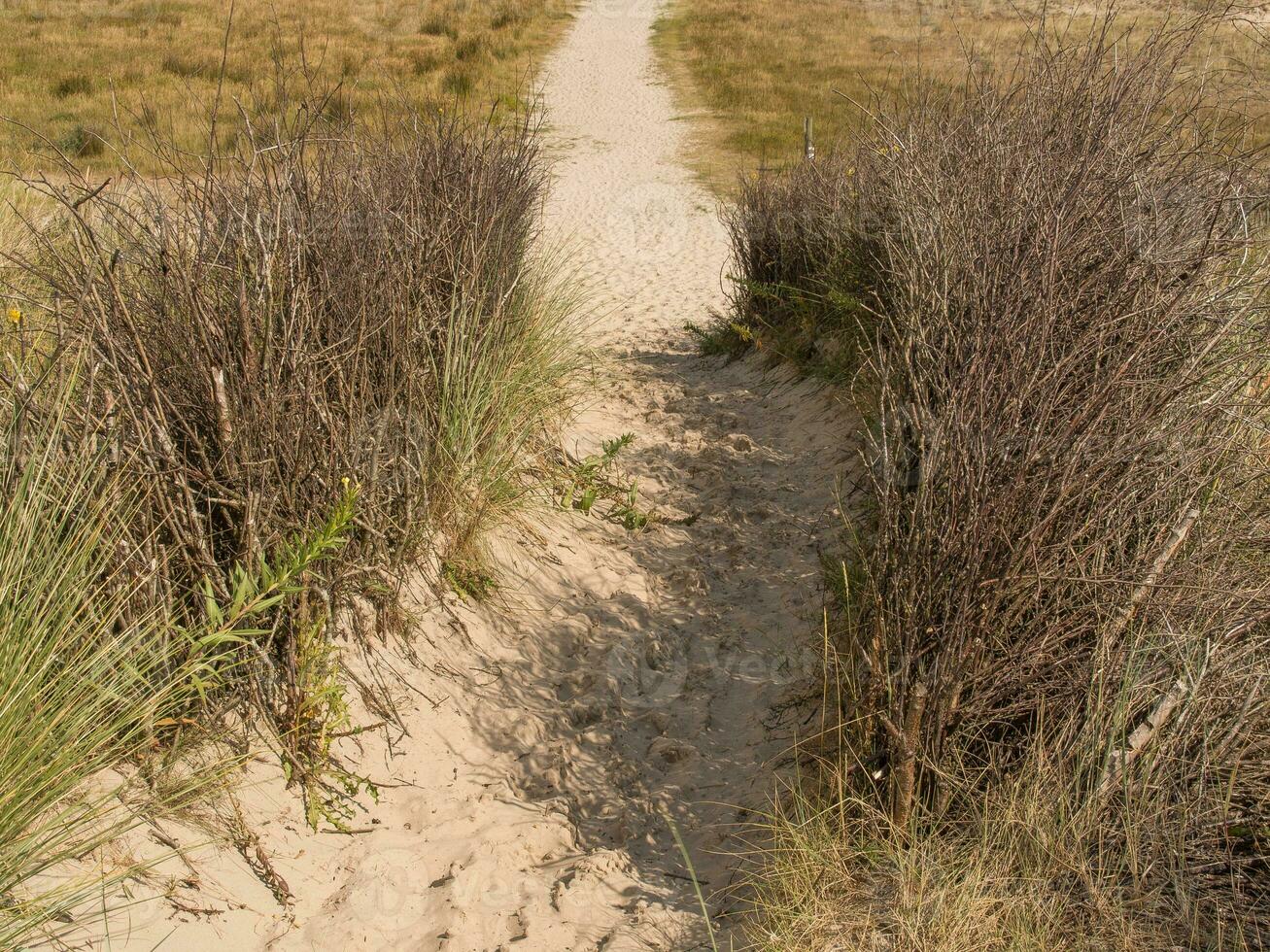 de strand av spiekeroog foto