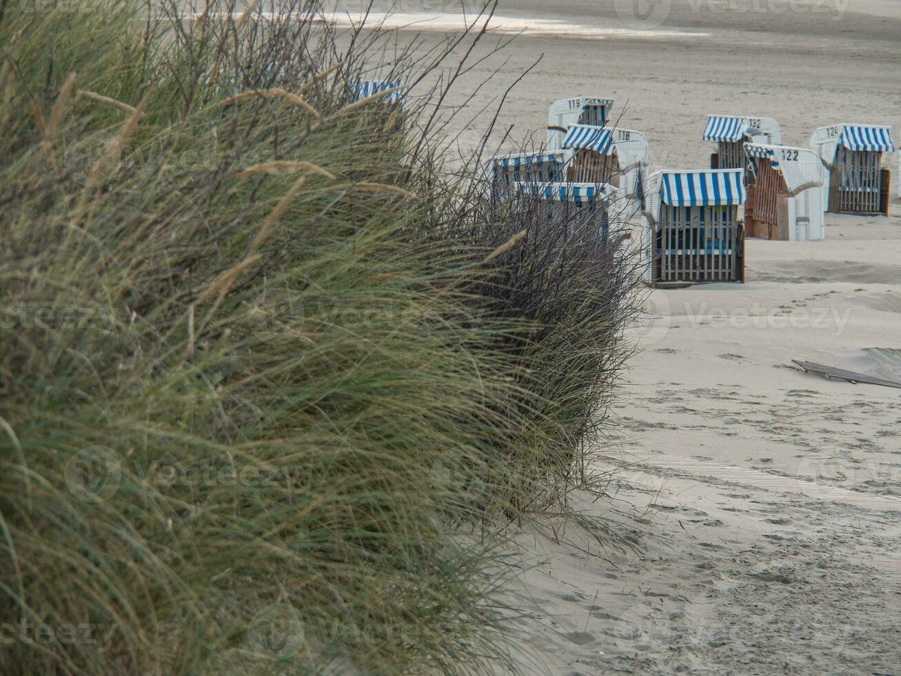 ön spiekeroog foto