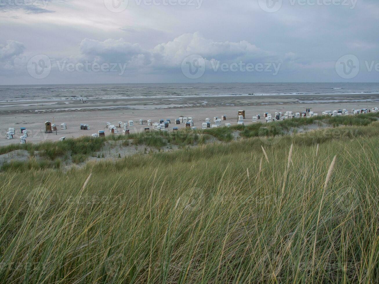 ön spiekeroog foto