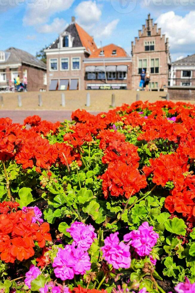 röd blommor i främre av en byggnad med blå himmel och moln foto