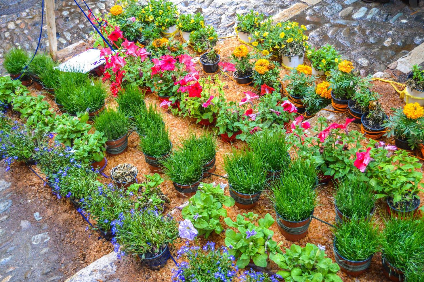 blomsterfestival i girona temps de flors, spanien. 2018 foto