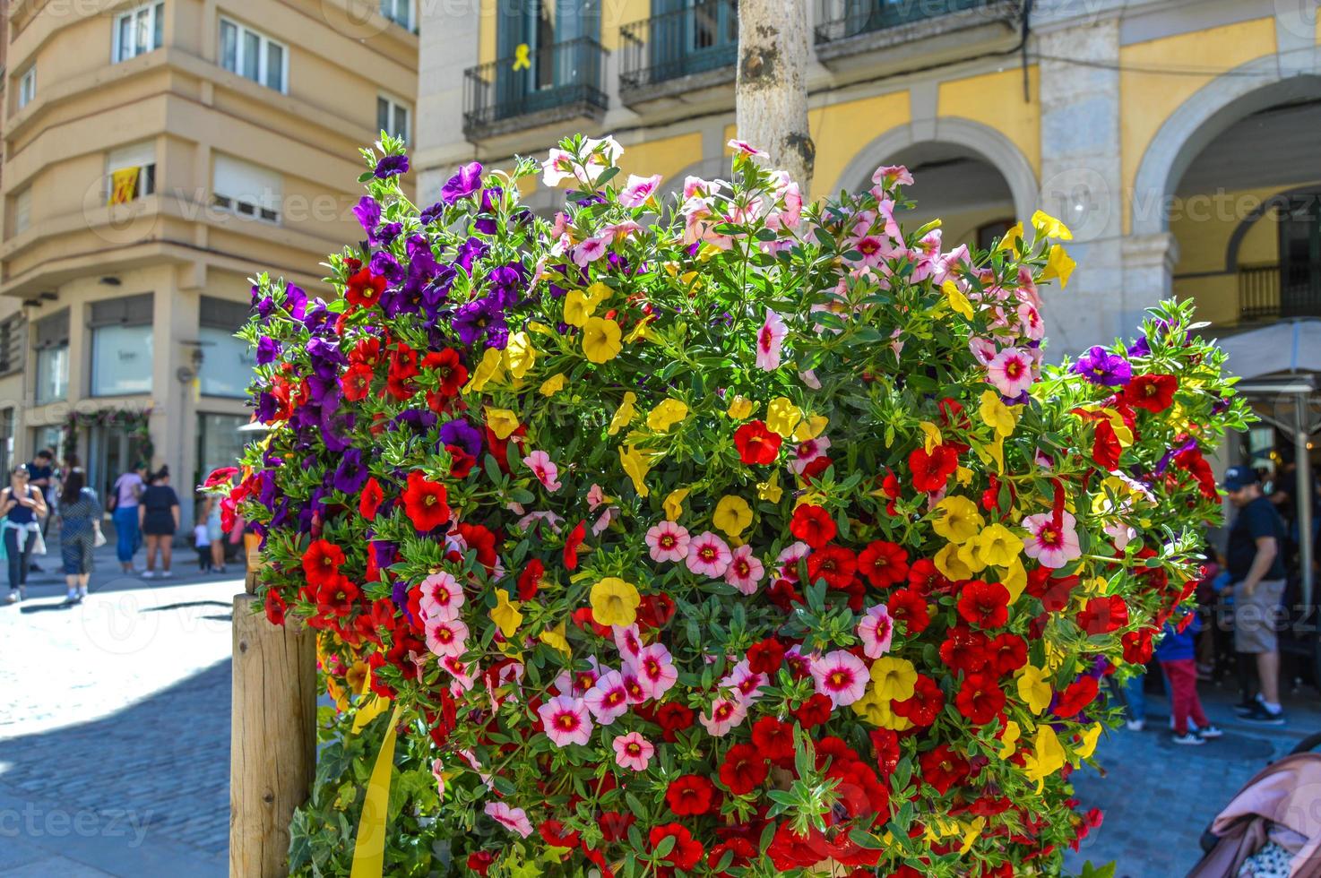 blomsterfestival i girona temps de flors, spanien. 2018 foto