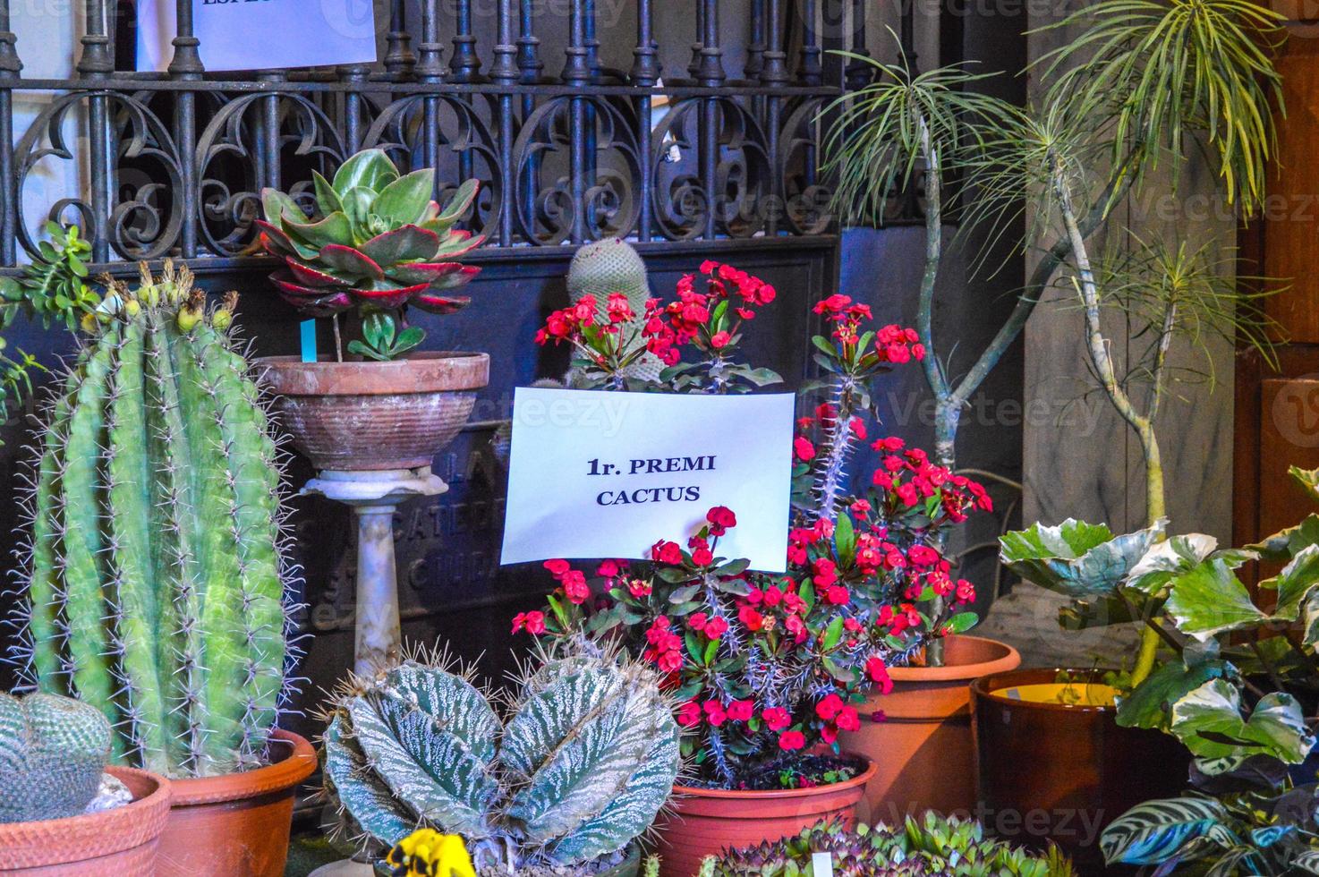 blomsterfestival i girona temps de flors, spanien. 2018 foto