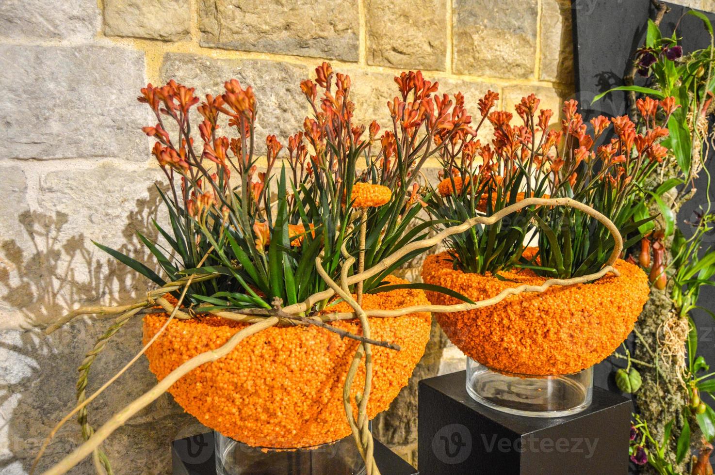 blomsterfestival i girona temps de flors, spanien. 2018 foto