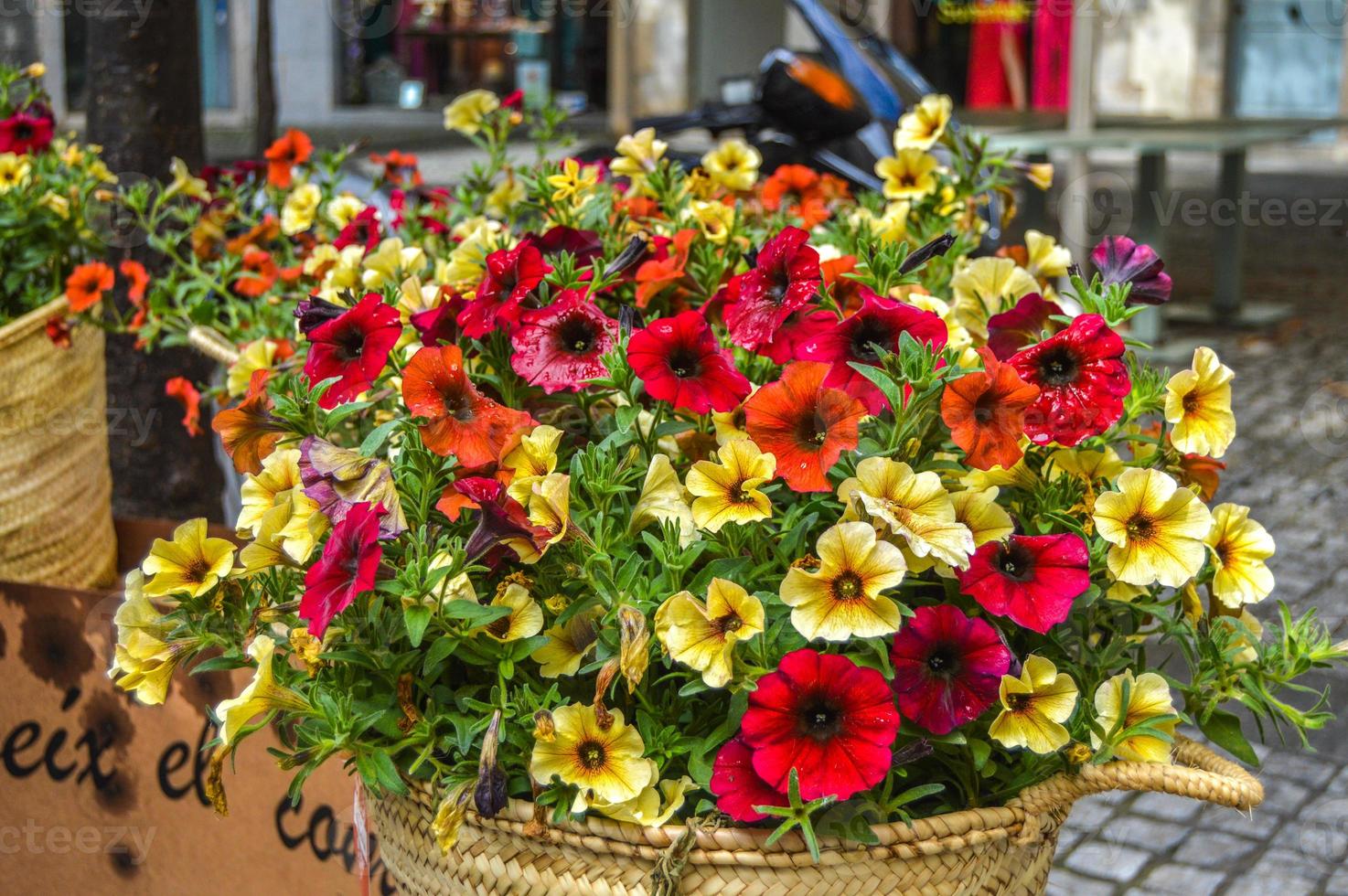 blomsterfestival i girona temps de flors, spanien. 2018 foto