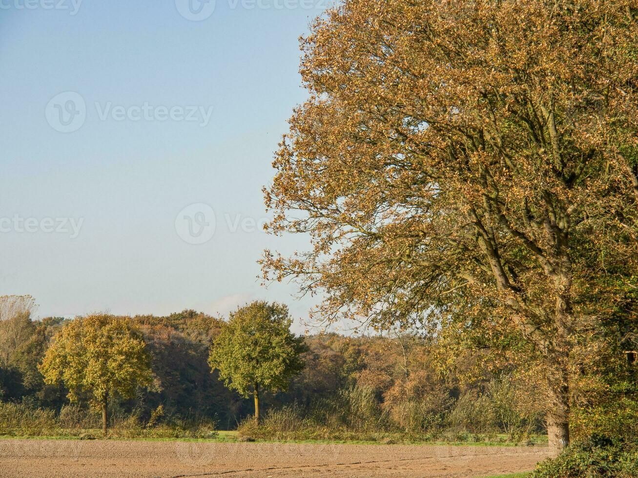 höst timen i de tysk muensterland foto