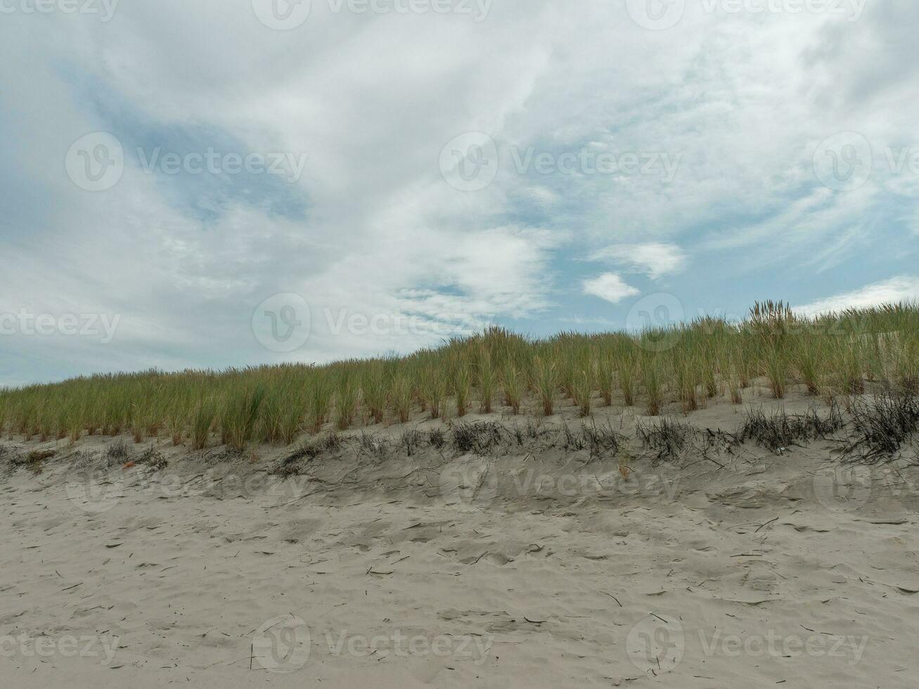 ön spiekeroog i tyskland foto