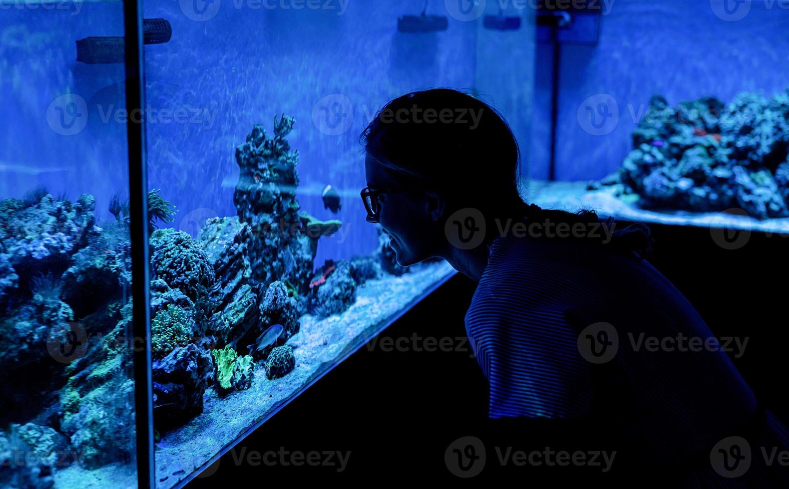 kvinna siluett titta på akvarier med fisk i oceanarium foto