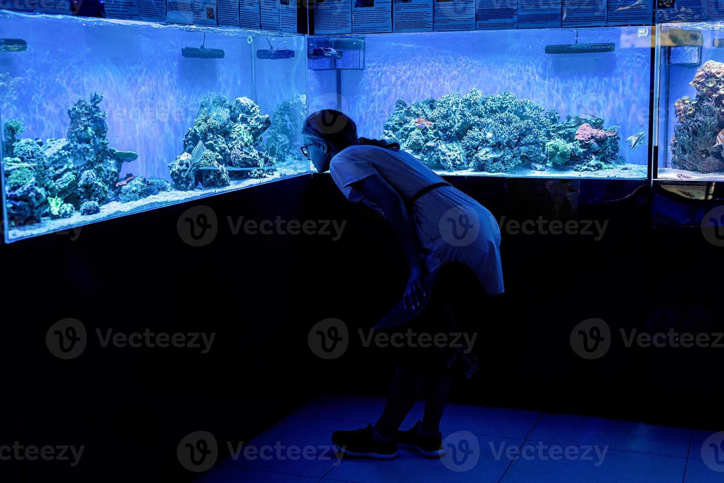 kvinna siluett titta på akvarier med fisk i oceanarium foto