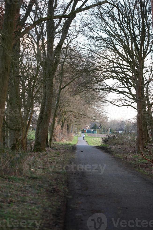 väg i tysk skog bakgrund stock photography högkvalitativa utskrifter foto