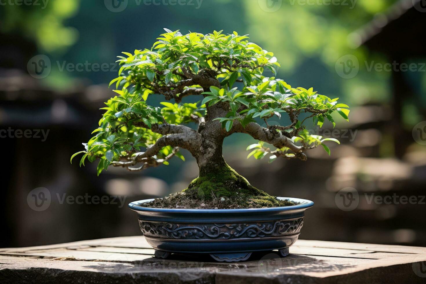 traditionell japansk bonsai växt konst ai genererad foto