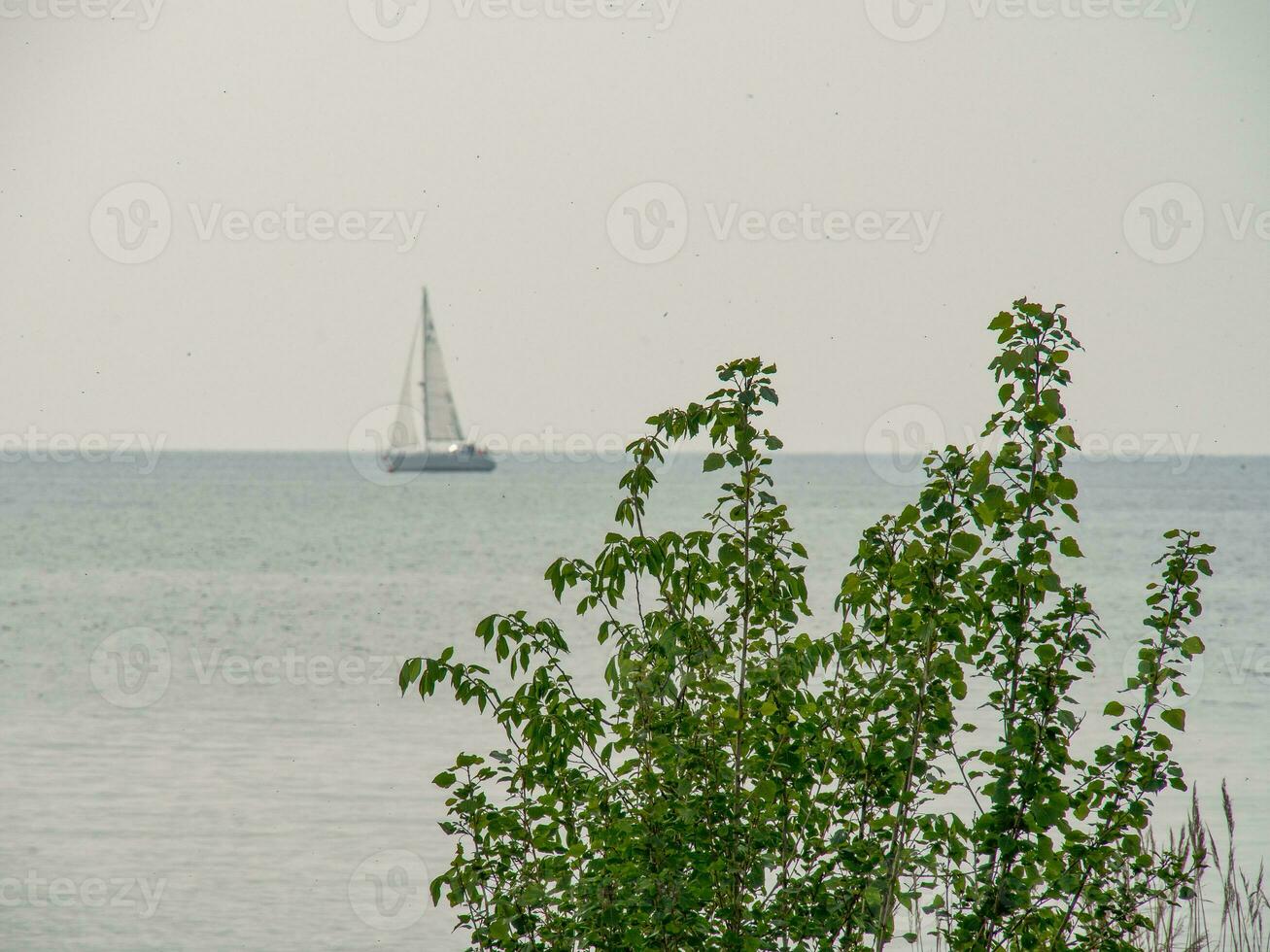 de dutch stad av urk foto