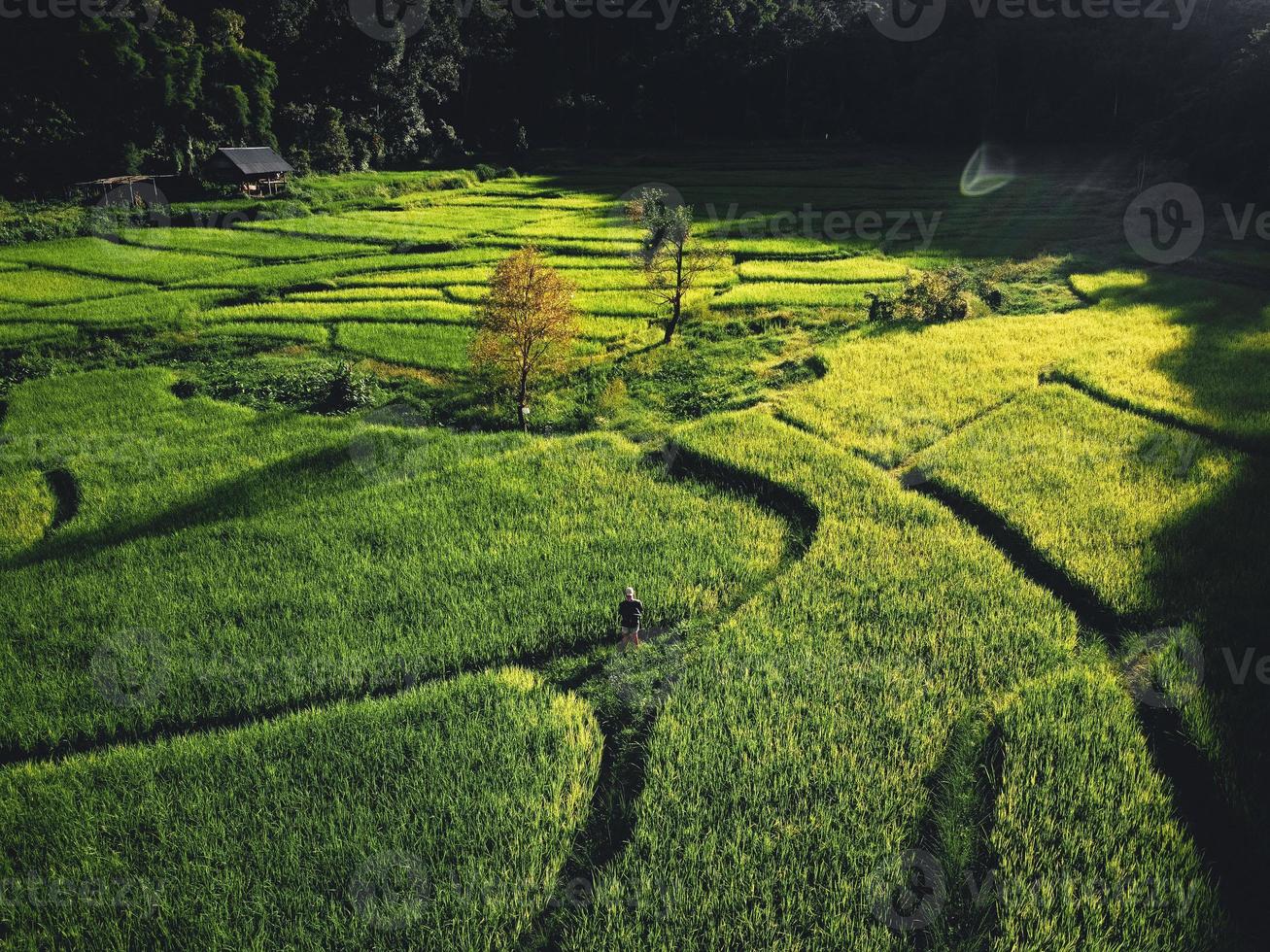 landskap risfält i Asien, flygvy foto