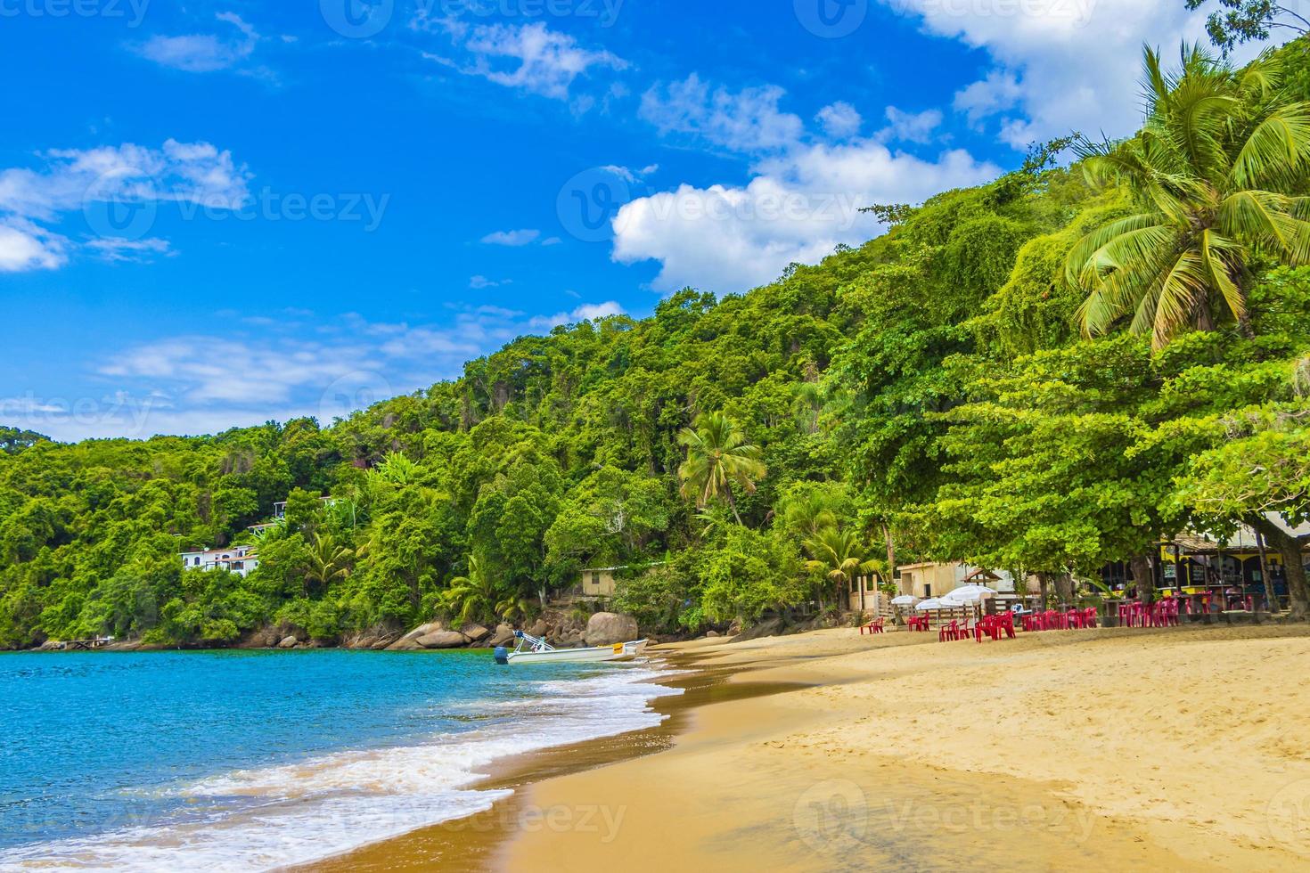 stora tropiska ön ilha grande praia de palmas beach brazil. foto