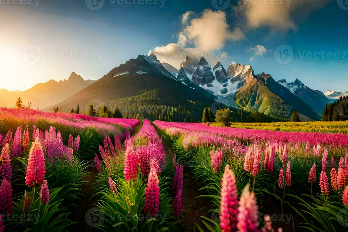 en fält av rosa blommor och bergen på solnedgång. ai-genererad foto