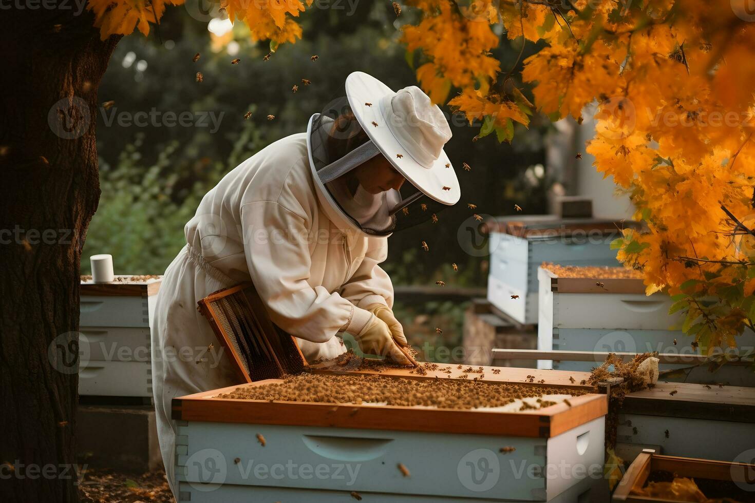 biodlare är arbetssätt med bin och bikupa på bigård. bin på vaxkaka. neuralt nätverk ai genererad foto