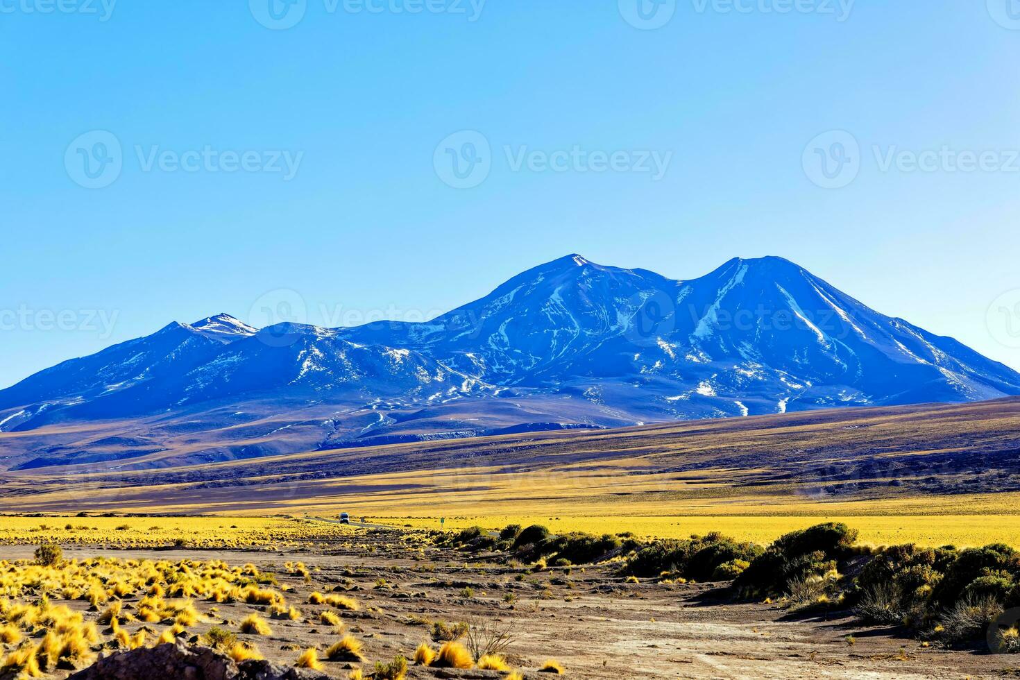 landskap på de sätt till de altiplanisk laguner i de atacama öken- - san pedro de atacama - chile foto