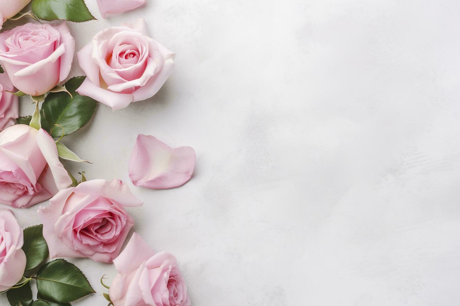 stänga upp av blomning rosa ro blommor och kronblad isolerat på vit tabell bakgrund. blommig ram sammansättning. dekorativ webb baner. tömma Plats, platt lägga, topp se. ai generativ foto