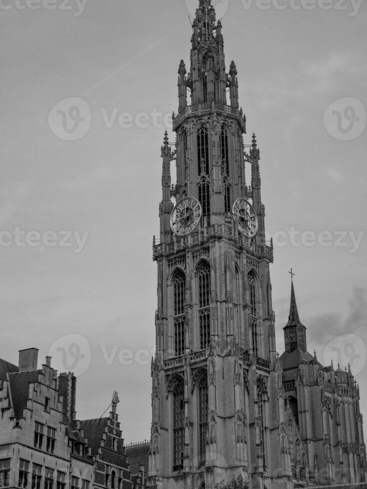 antwerpen stad i belgien foto