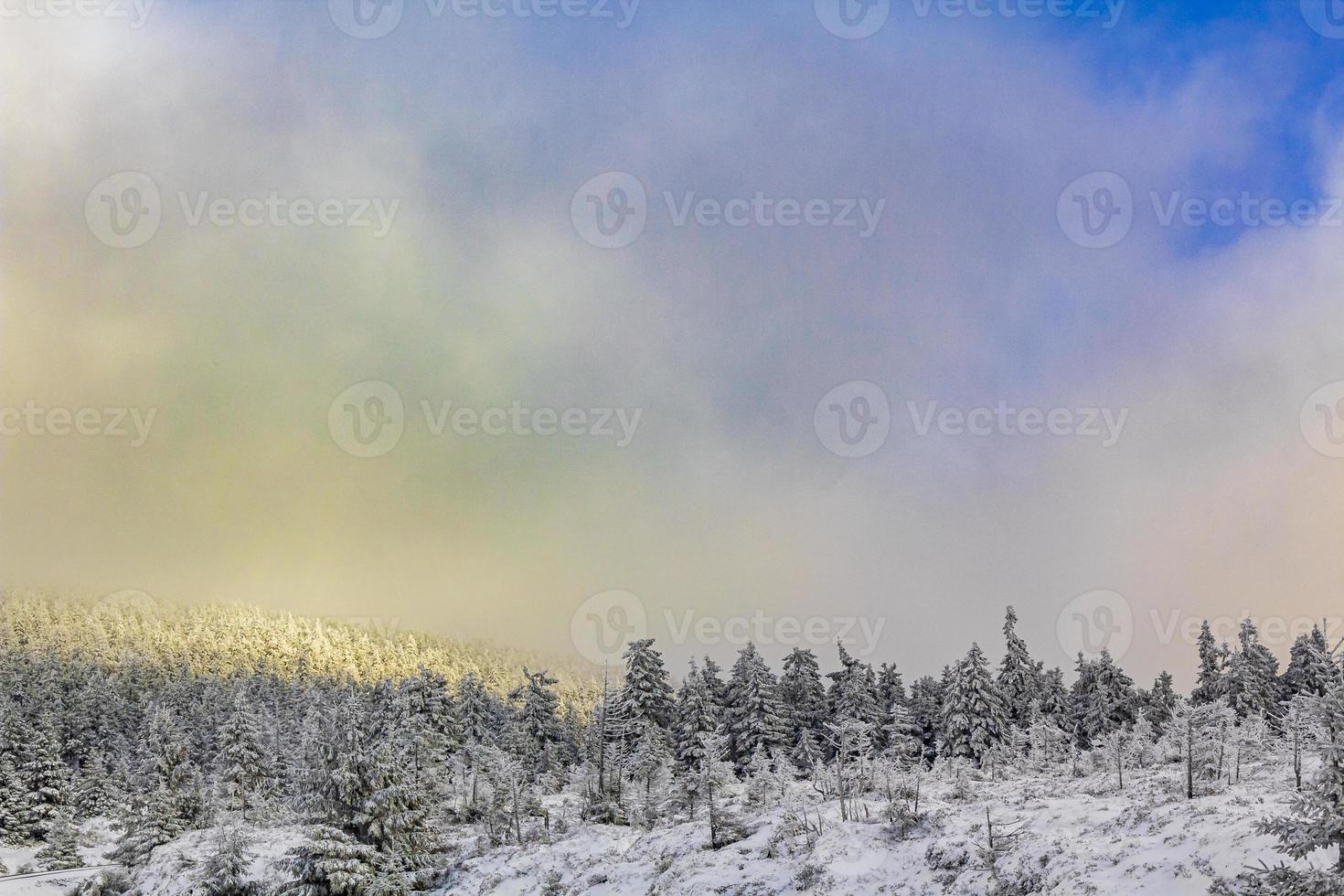 solsken på snöat i isiga granar brocken harz tyskland foto