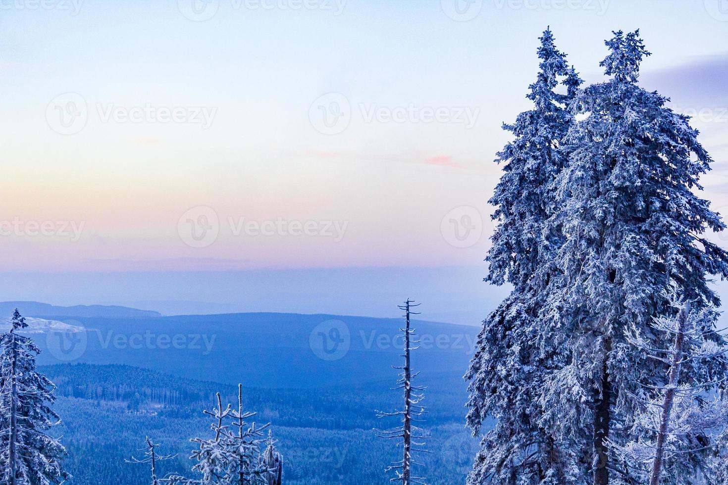 solnedgång skog landskap panorama isiga träd brocken berg tyskland. foto