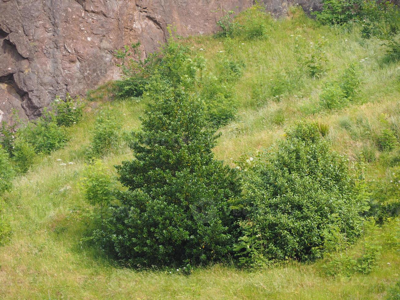 Arthur's seat i Edinburgh foto