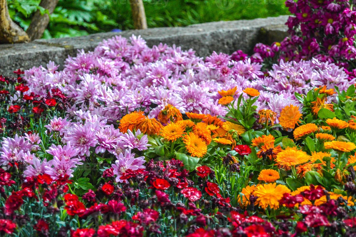 blomsterfestival i girona temps de flors, spanien. 2018 foto