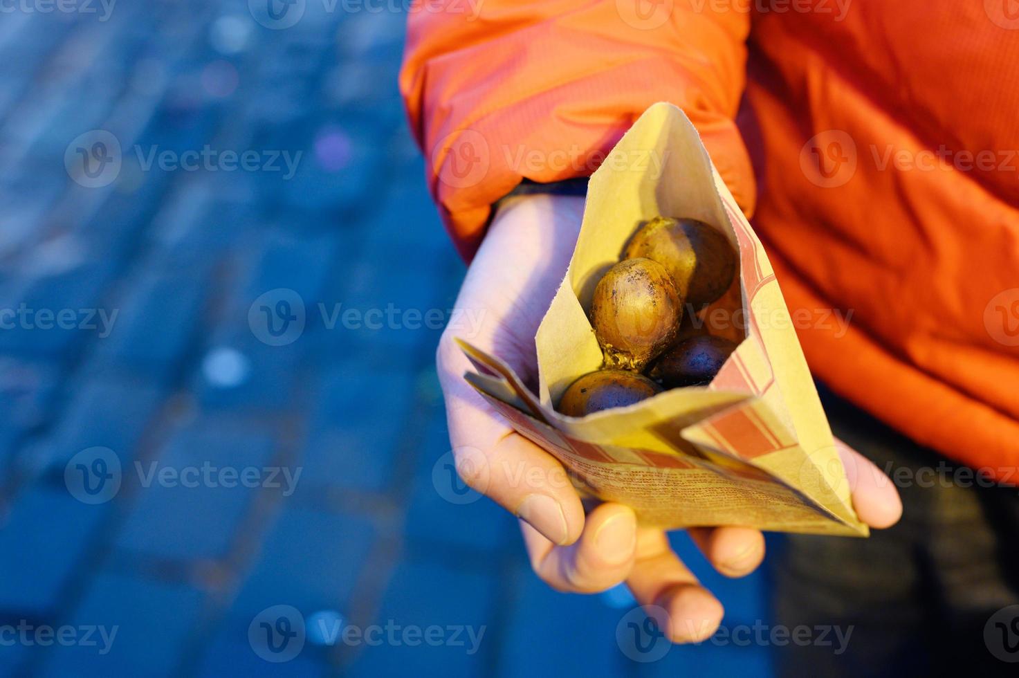 kastanjristad hand foto