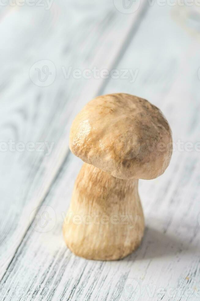 porcini svamp på de trä- bakgrund foto
