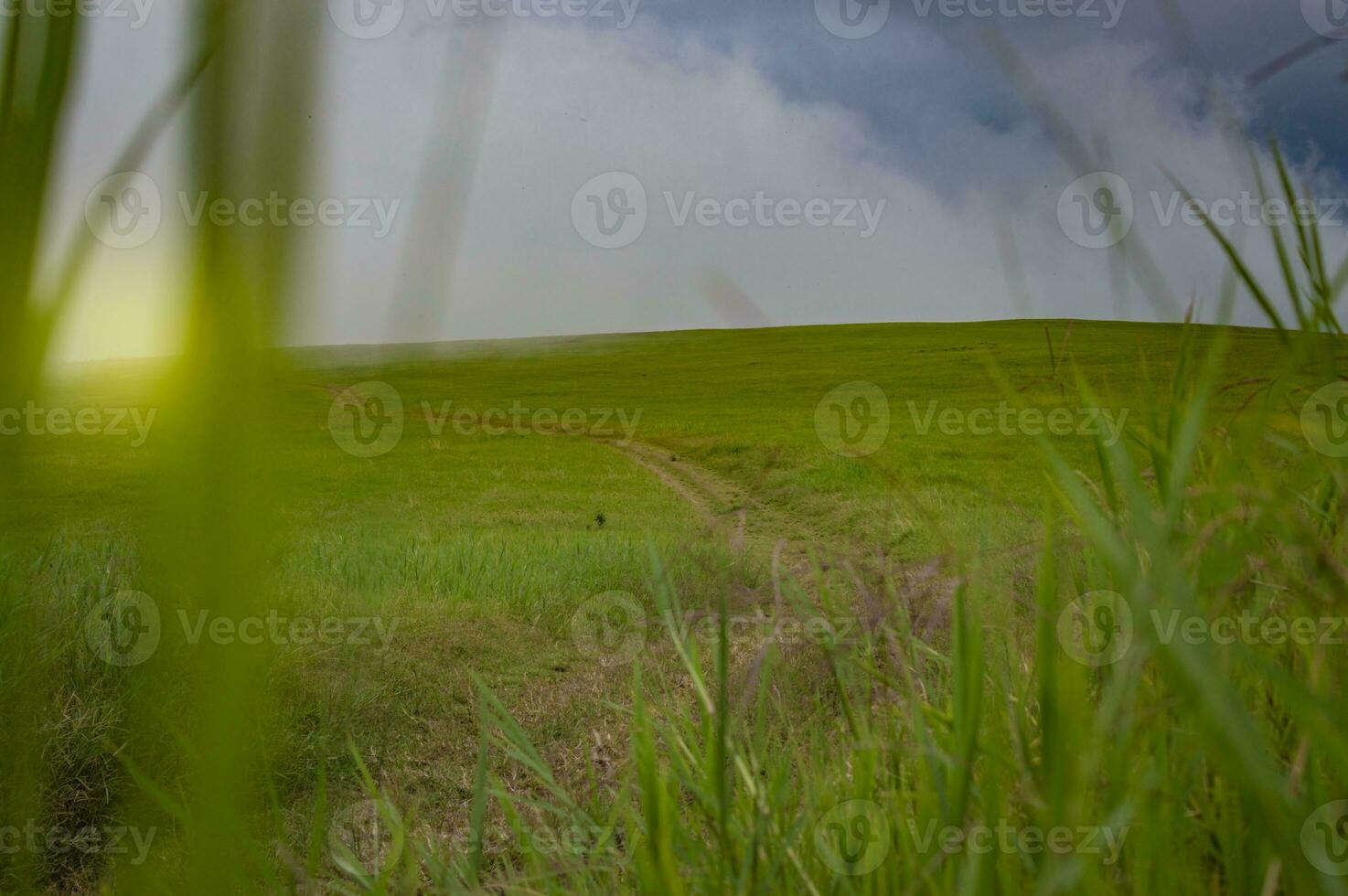 skön liten väg på en kulle omgiven förbi grön gräs, landskap av en väg den där leder till en grön kulle foto