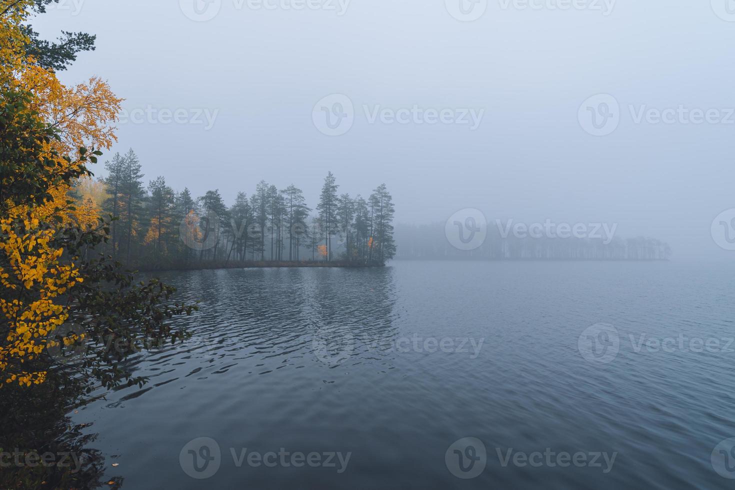 landskap av karelen foto