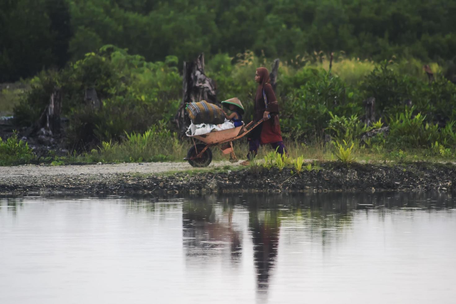 sorong, indonesien 2021- promenader i mangroveskog foto