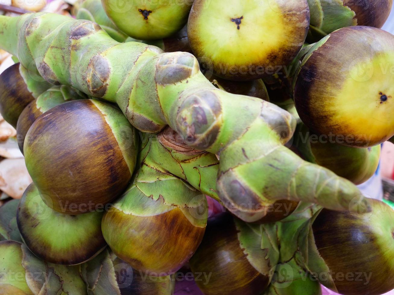 asiatisk palmyra palm, socker palm toddy palm frukt. foto