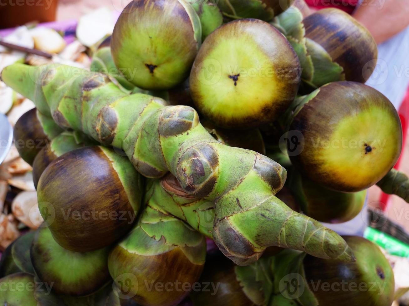 asiatisk palmyra palm, socker palm toddy palm frukt. foto