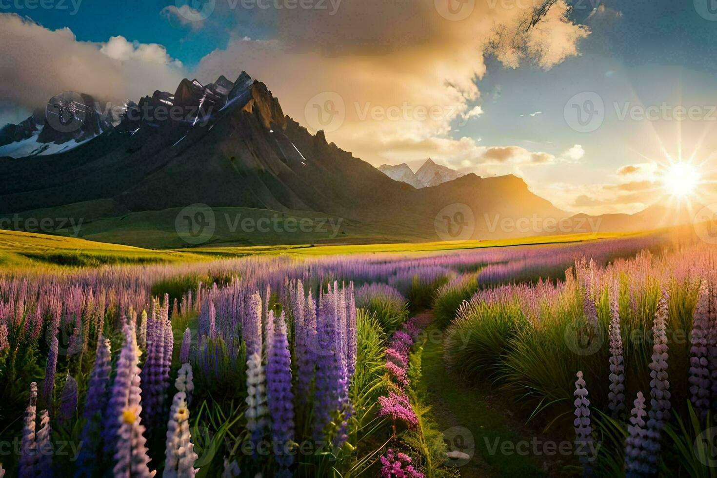 de Sol stiger över en fält av lupin blommor i de berg. ai-genererad foto