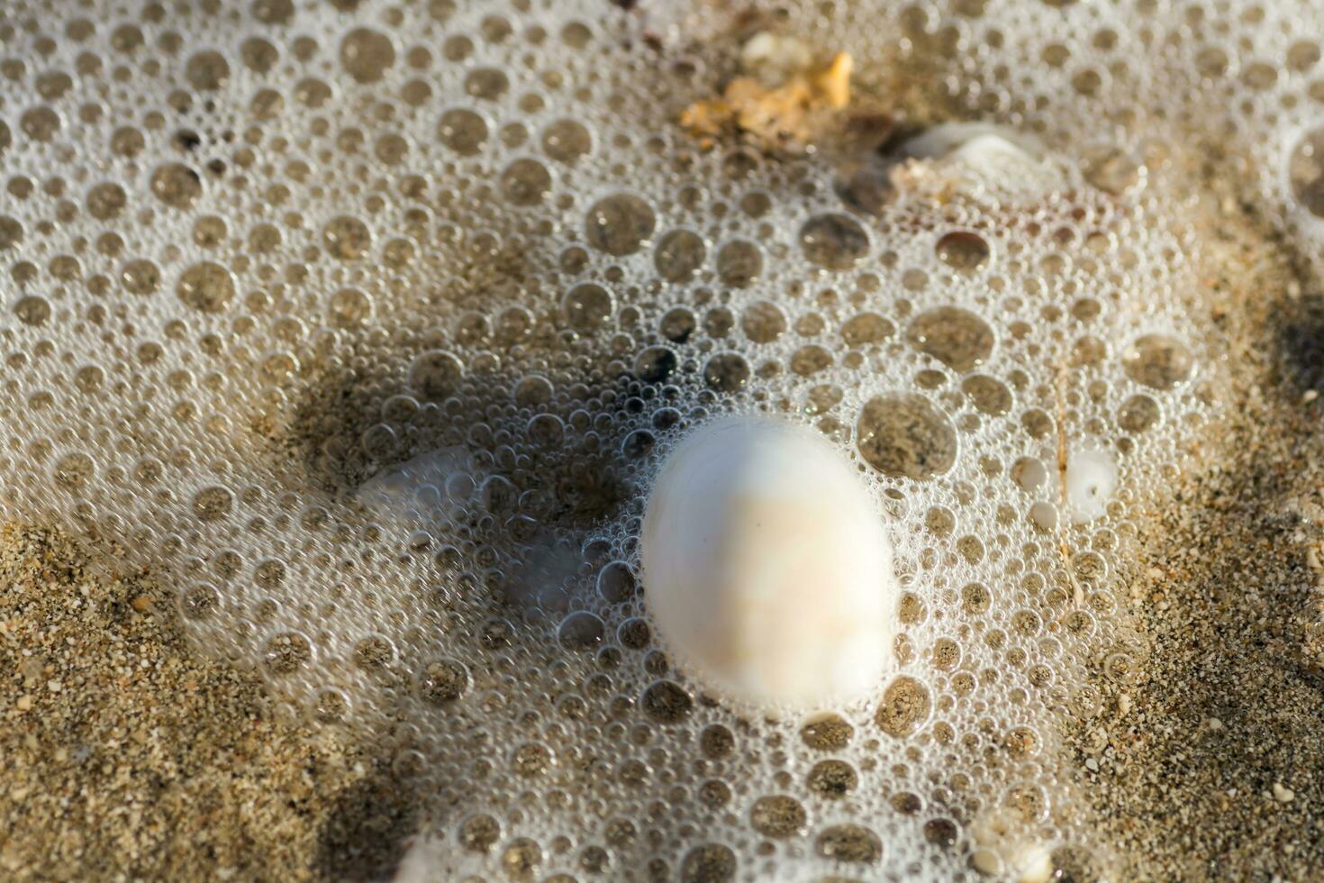 massa av bubblor och skum med en vit skal i de hav vatten på de strand på semester foto